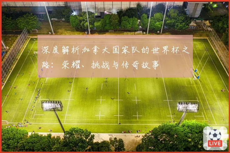 深度解析加拿大国家队的世界杯之路：荣耀、挑战与传奇故事