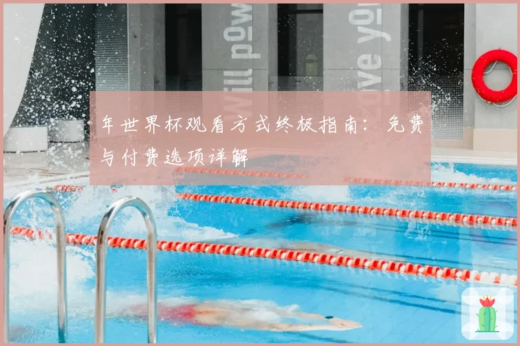 年世界杯观看方式终极指南：免费与付费选项详解