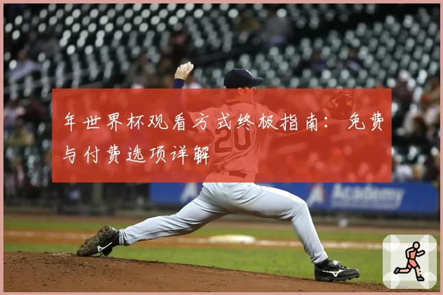 年世界杯观看方式终极指南：免费与付费选项详解