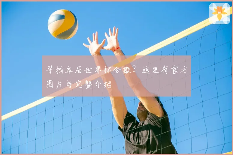 寻找本届世界杯会徽？这里有官方图片与完整介绍