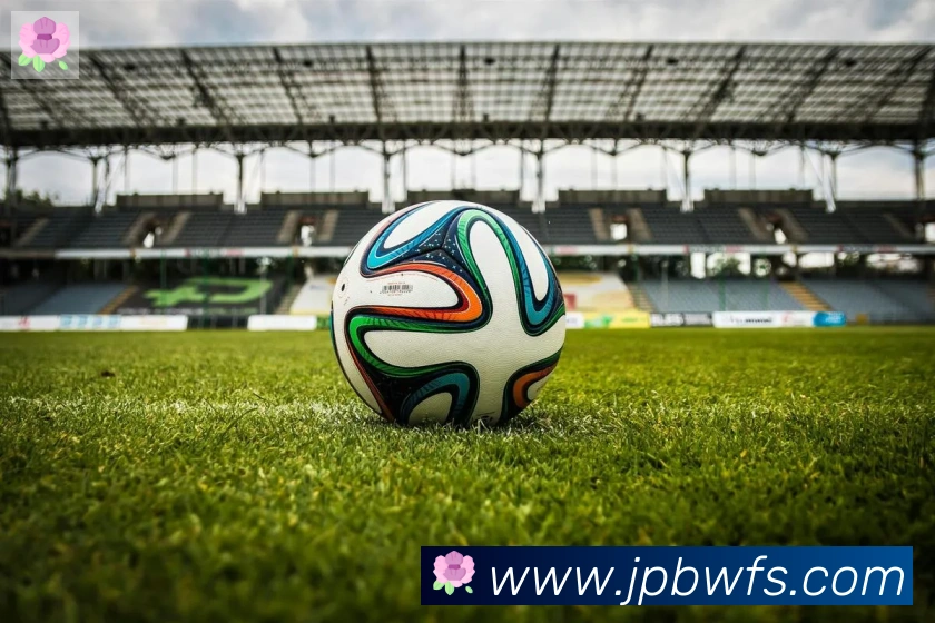 开云kaiyun网页版荣誉