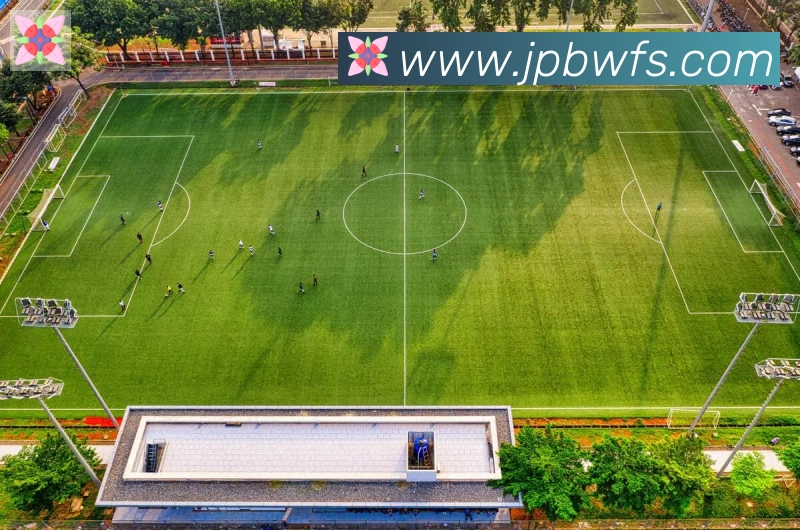 开云kaiyun网页版荣誉